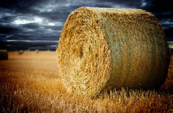 Fardo Palha Campo Com Céu Escuro Bonito — Fotografia de Stock