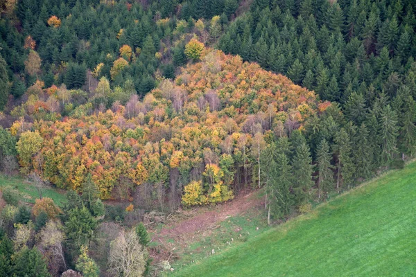 Eifel Rheinland Pfalz Germany — Foto de Stock