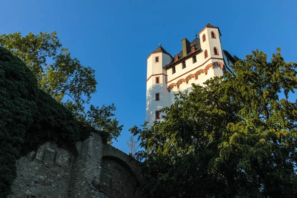 Electoral Castle Eltville Rheingau Hessen Germany — Foto de Stock