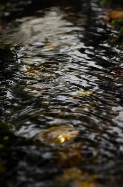 水は穏やかな効果を持っています 人生の原点だからこんなに好きなんだ — ストック写真