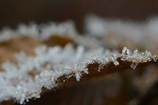 Zamrzlé Ledové Krystaly Sněhu — Stock fotografie