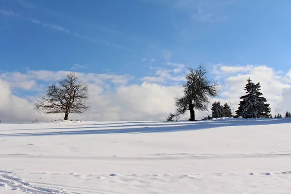 Picturesque View Snow Covered Winter Landscape — Stock Photo, Image