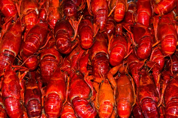 Close Red Crayfish — Stock Photo, Image