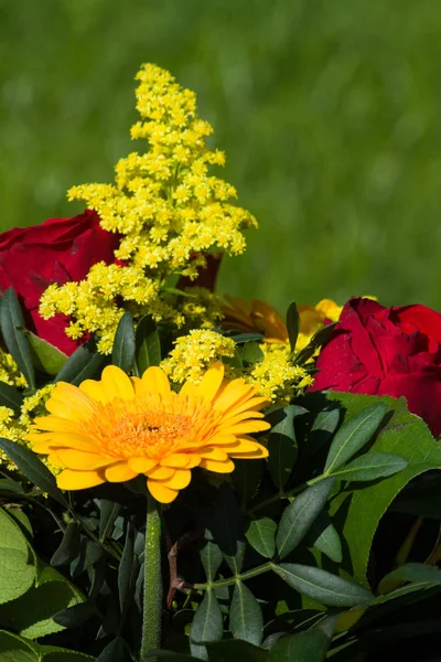 Floral Petals Roses Flowers Bloom — Stock Photo, Image