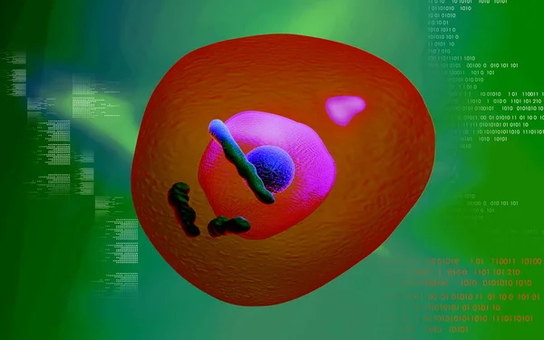 Cyfrowa Ilustracja Ludzkiej Komórki Kolorowym Tle — Zdjęcie stockowe