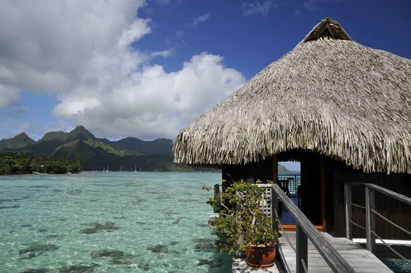 Les Maldives Officiellement République Des Maldives Est Une Petite Nation — Photo