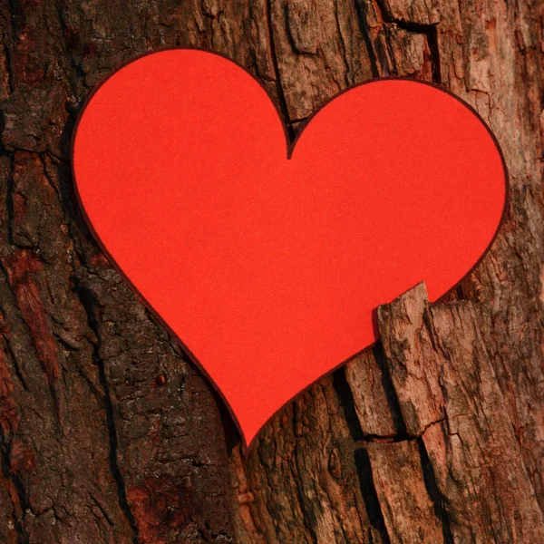 Herz Auf Holz Hintergrund — Stockfoto