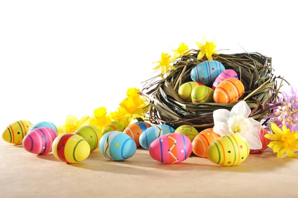 许多彩绘了复活节彩蛋 上面有复活节彩篮和白色背景的水仙花 — 图库照片