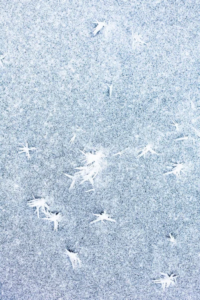 Weiße Eisfläche Mit Reicher Textur Winterlicher Hintergrund — Stockfoto