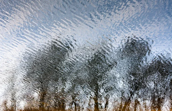 Rippad Vattenyta Med Reflektion Bladlösa Träd Och Blå Himmel — Stockfoto