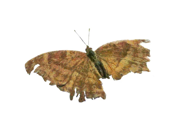 Nekompletní Motýlí Malba Těla — Stock fotografie