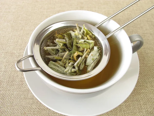 Greek Mountain Tea Tea Strainer — Stock Photo, Image