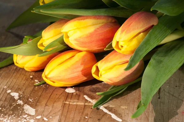 Tulipanes Sobre Fondo Madera Antiguo — Foto de Stock