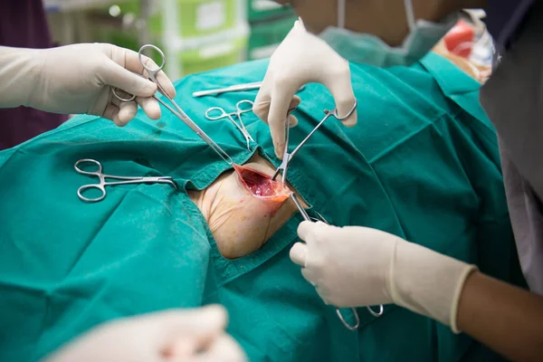 Veteriner Ameliyathanede Ameliyat Yapıyor — Stok fotoğraf