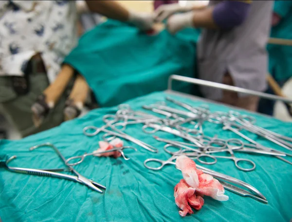 Veteriner Ameliyathanede Ameliyat Yapıyor — Stok fotoğraf