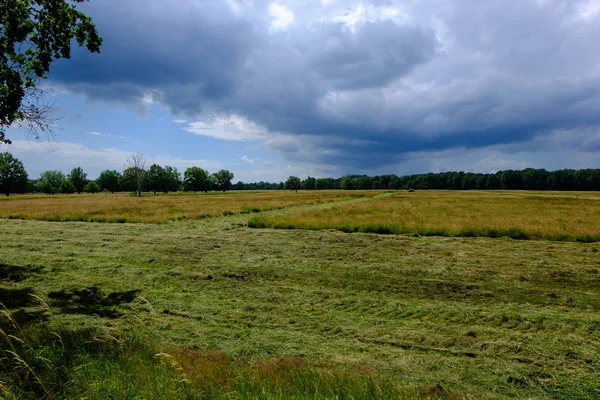 Pohled Národní Park — Stock fotografie