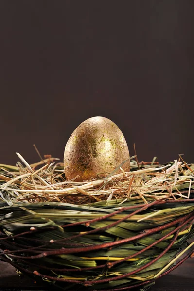 Gouden Nest Oude Houten Planken Tegen Een Donkere Achtergrond — Stockfoto