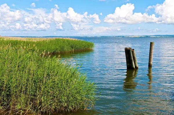 Belle Vue Sur Les Paysages Naturels — Photo