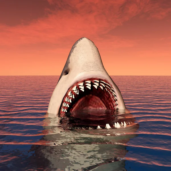 电脑用大白鲨制作3D插图 — 图库照片