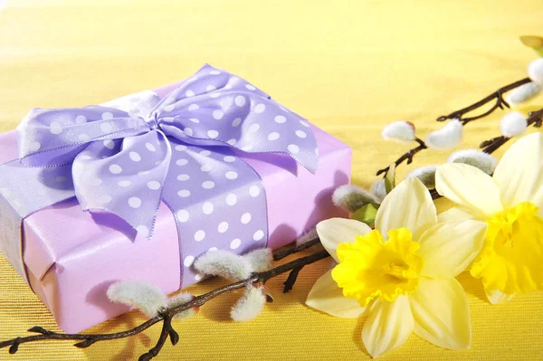 Violet Mother Day Gift Daffodils Pussy Willow Yellow Tablecloth — Fotografia de Stock