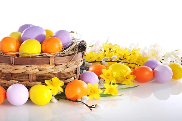 Real Painted Easter Eggs Violet Yellow Orange Flowers Easterest White — Stock Photo, Image