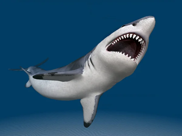Bilgisayar Büyük Beyaz Bir Köpekbalığıyla Boyutlu Illüstrasyon Üretti — Stok fotoğraf