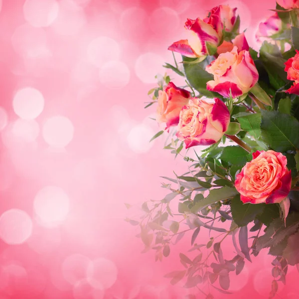 Bukett Rosor Blommor Och Flora — Stockfoto