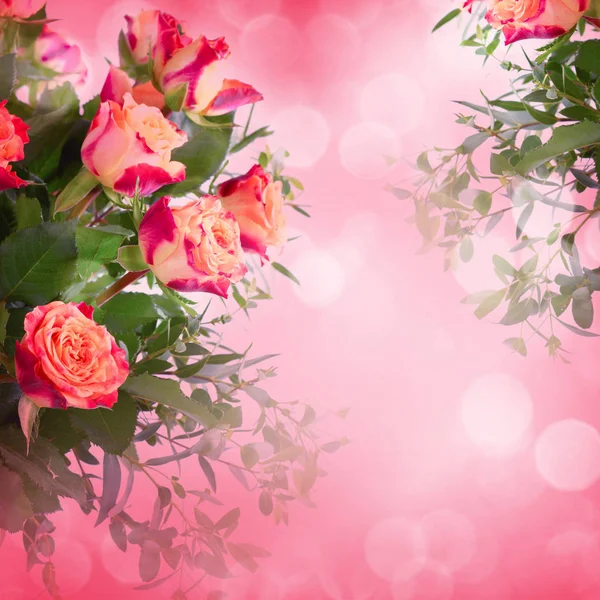Kytice Růží Květin Rostlin — Stock fotografie