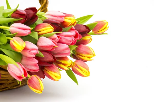 Tulipes Colorées Dans Panier — Photo