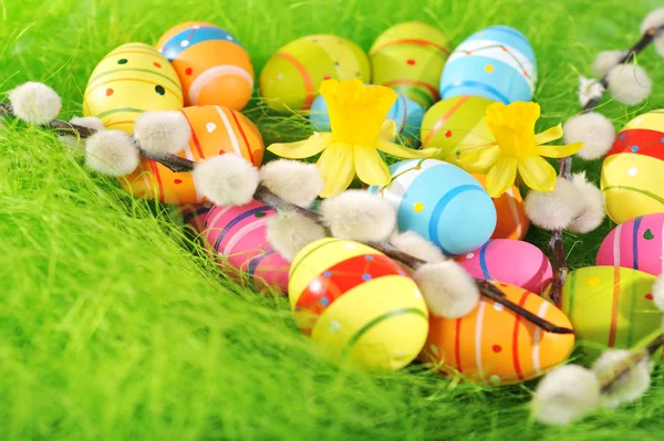 Colorful Easter Eggs Daffodils Palm Kitten Green Sisal — Photo