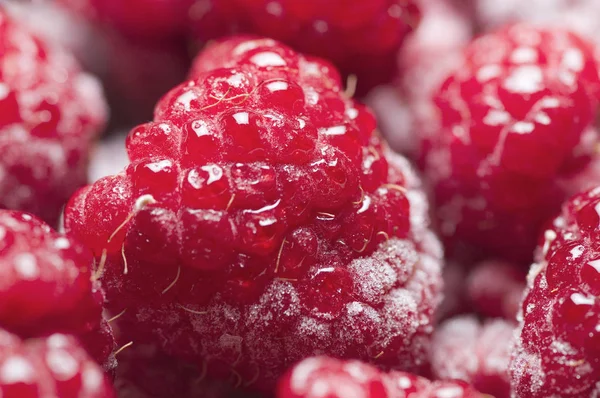 Formaat Vullen Macro View Van Ontdooiende Frambozen Met Geïsoleerde Vorst — Stockfoto