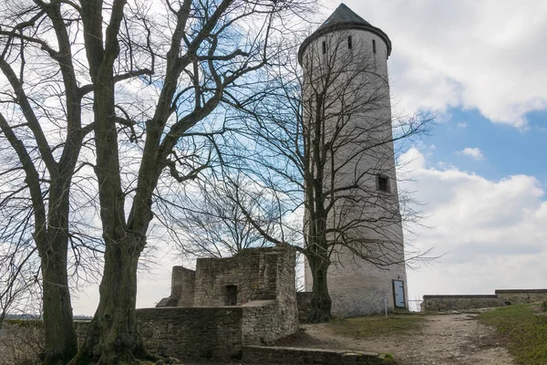 Malebný Pohled Majestátní Středověkou Hradní Architekturu — Stock fotografie