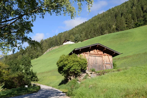Neustift Stustai Stustainal Tyrol Austria Haystacks Scoober アルプス 高い山 山の牧草地 — ストック写真