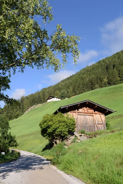 Neustift Stubai Stubaital Tyrol Ausztria Szénakazal Iskolás Üdülőház Hegy Hegyek — Stock Fotó