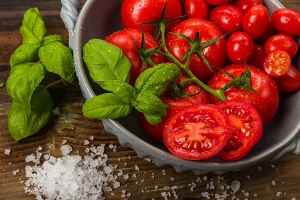Tomat Segar Dalam Mangkuk Dengan Kemangi Dan Garam — Stok Foto