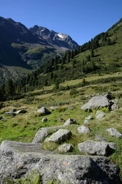 Alps Stubai Stubai Stubaital Mountain Mountains Mountains High Mountains Tyrol — Foto de Stock