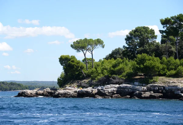 Rovinj Istria Croatia Mar Mar Mediterrâneo Costa Banho Zona Balnear — Fotografia de Stock