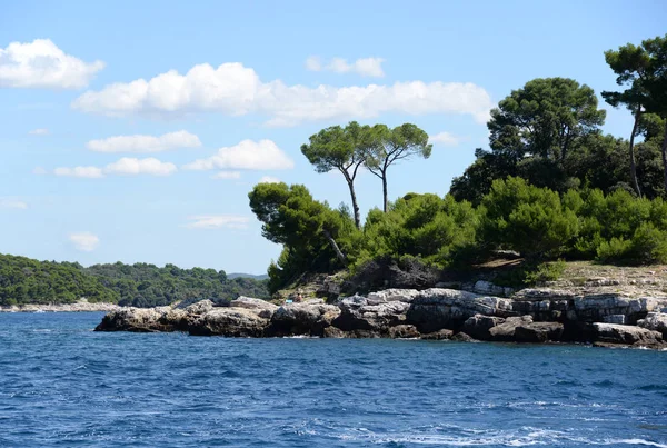 Rovinj Istria Croatia Mar Mediterranean Costa Banhando Área Tomando Banho — Fotografia de Stock