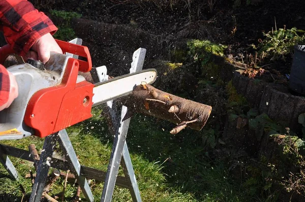 Man Cutting Wood — стоковое фото