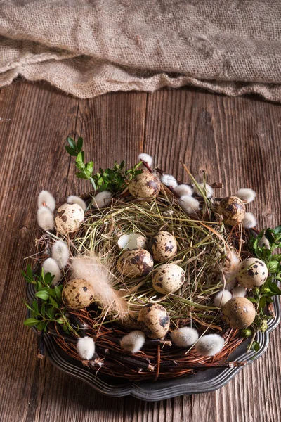 Wachteleier Nest Auf Holzgrund — Stockfoto