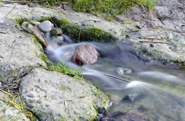 Bellissimo Scenario Della Foresta — Foto Stock