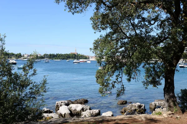 Rovinj Istrien Kroatien Meer Mittelmeer Wasser Schwimmen Menschen Urlaub Gewässer — Stockfoto