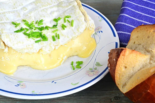 Concepto Comida Delicioso Queso — Foto de Stock