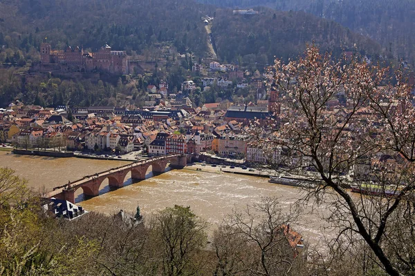 Heidelberg Vieux Palais Ville Vieux Pont Avril 2015 — Photo