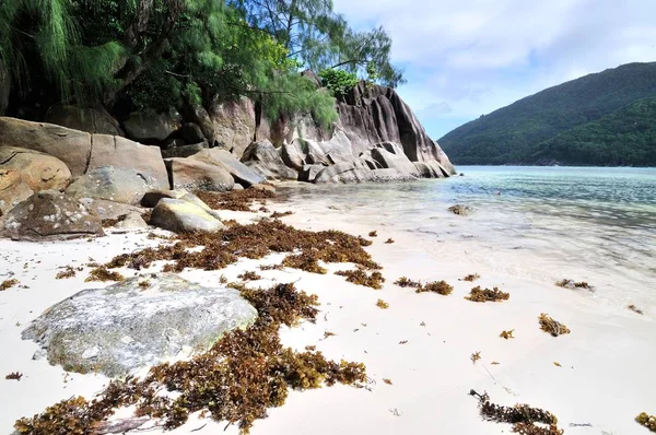 Seychelles Océano Índico Mahe Isla Con Vistas Eden Isla — Foto de Stock