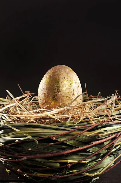 Golden Egg Nest Old Wooden Boards Dark Background — Stockfoto