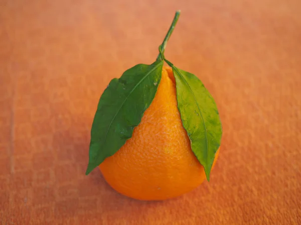 Апельсиновые Фрукты Оранжевом Фоне — стоковое фото