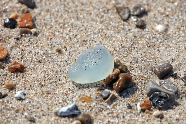 Pedras Praia Mar Norte — Fotografia de Stock