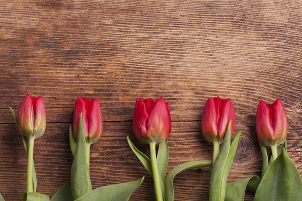 Fila Tulipanes Madera Oscura — Foto de Stock