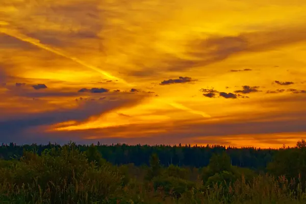 Piękny Wschód Słońca Chmury Malowany Czerwonym Pomarańczowym Drzewa Las — Zdjęcie stockowe